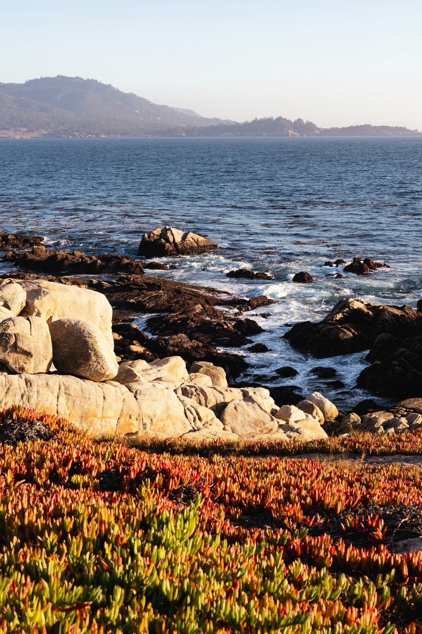 Innovations in Sustainable Beach Accessibility